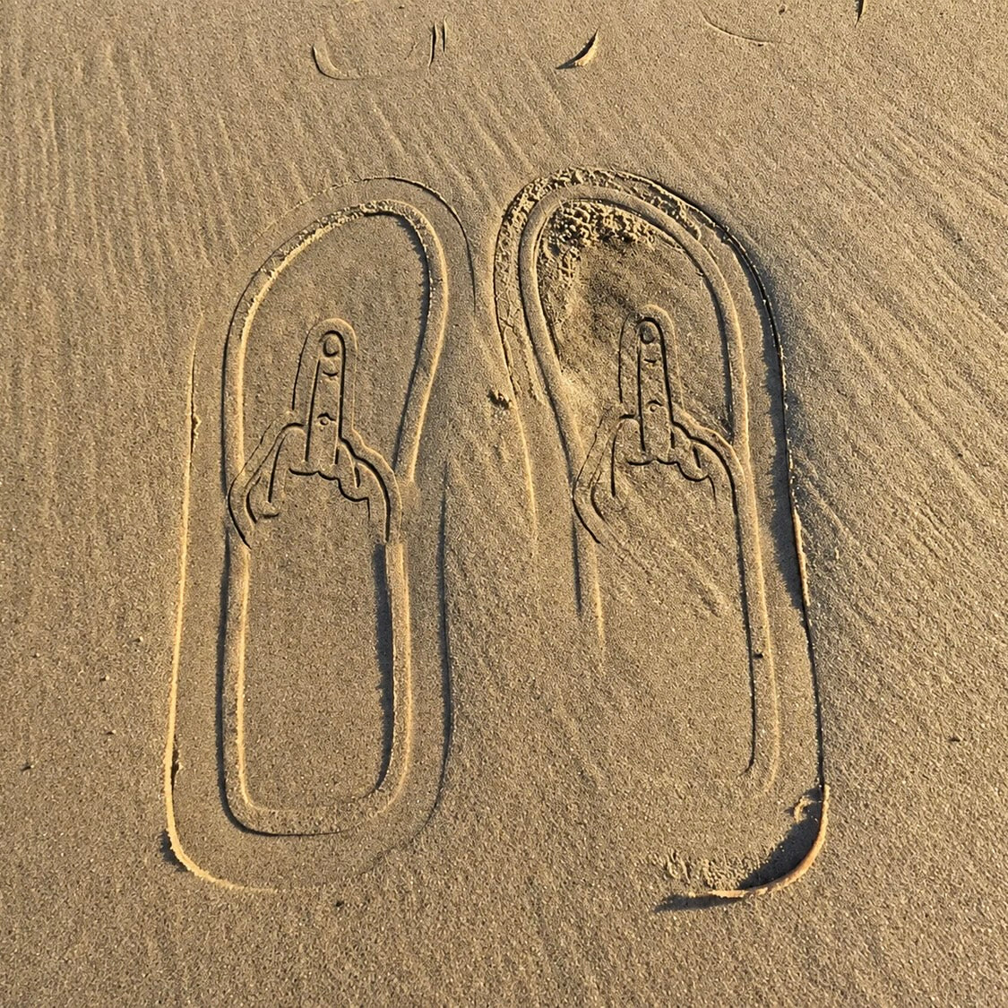 Middle Finger Flip Flops